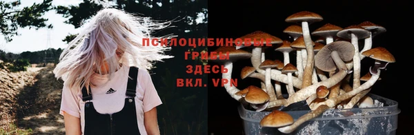 первитин Каменка