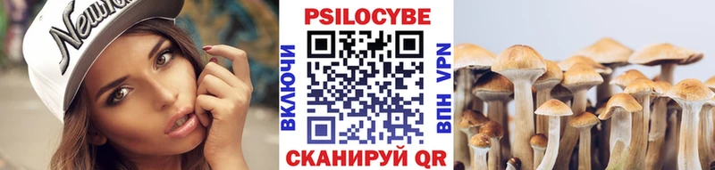 Галлюциногенные грибы ЛСД  Стародуб 
